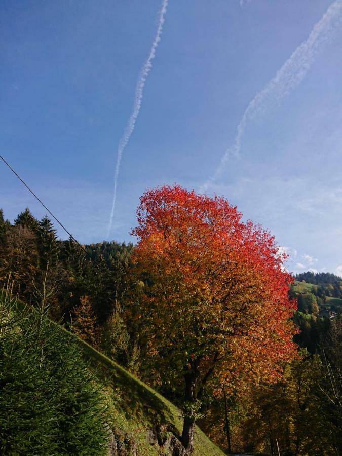 Apart Pfister Aschau Im Zillertal ภายนอก รูปภาพ